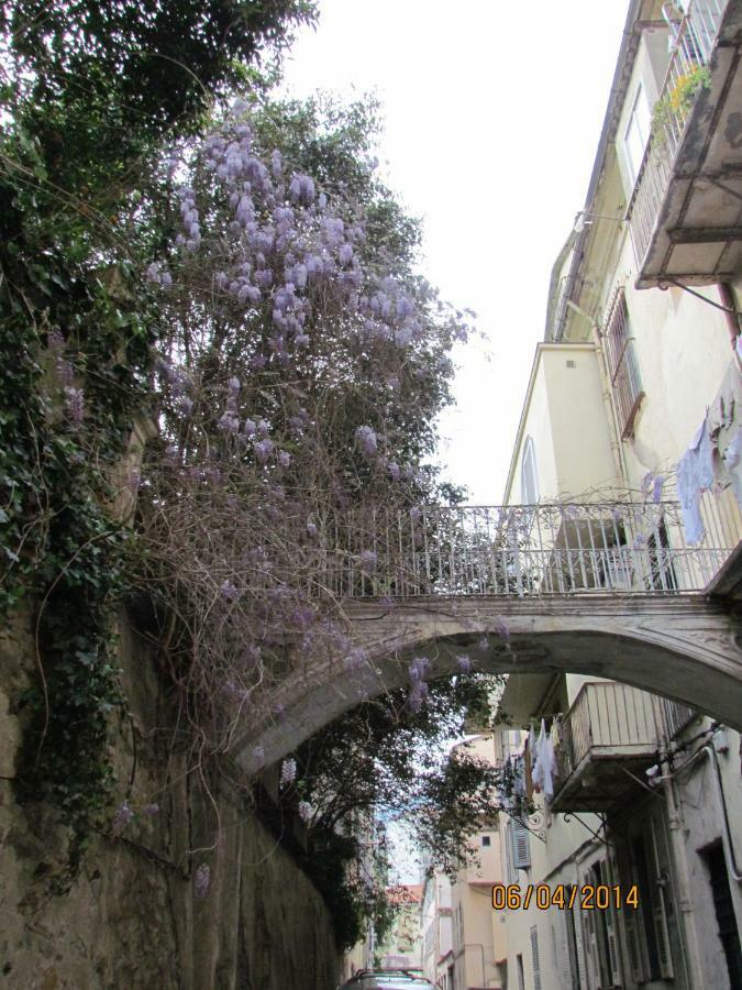Appartement Bastia Au Pied Du Vieux Port المظهر الخارجي الصورة